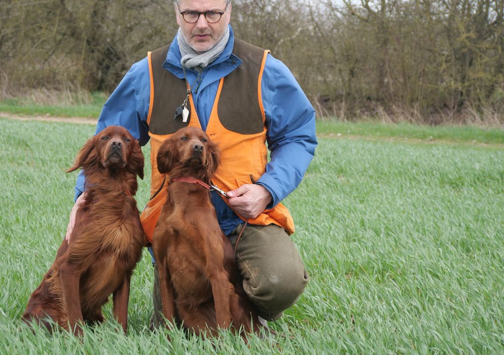 Du bois de balisy - Nouveaux classements en field trial de printemps 