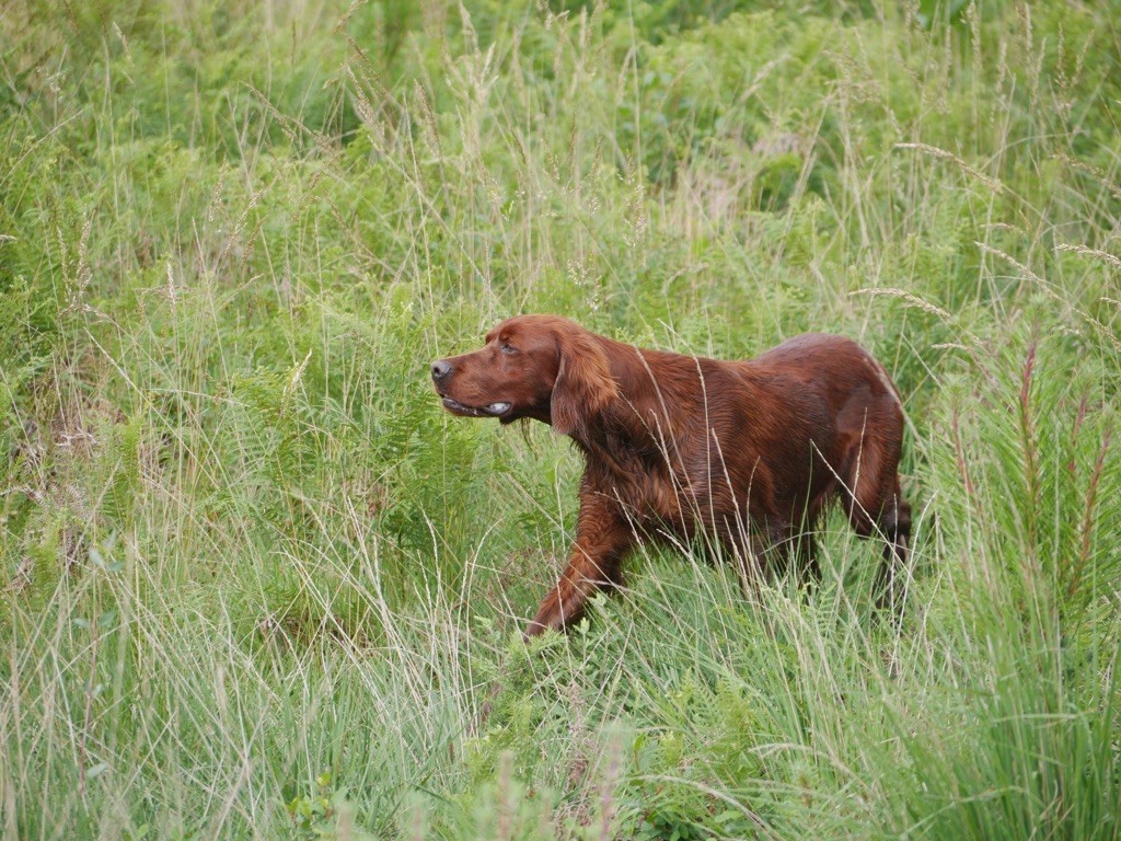 Du bois de balisy - Nouvelle Portée en programmation.