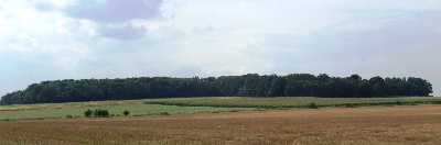Du bois de balisy - Le Bois de Balisy