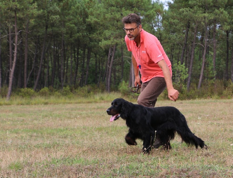 Entraînement chasse du Murat Août 2016